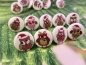 Preview: Weihnachts Eulen Knopf Ohrstecker Winter Uhu owl